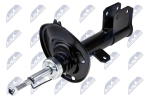 Amort NTY A-CT-049