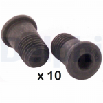 Kruvi,piduriketas DELPHI BGK009