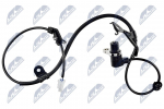 Andur, rattap&ouml;&ouml;rete arv NTY HCA-TY-008