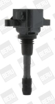S&uuml;&uuml;tepool BorgWarner (BERU) ZSE066