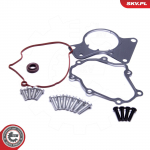 Remondikomplekt,vaakumpump(piduris&uuml;steem) ESEN SKV 18SKV802