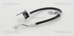 Pidurivoolik TRISCAN 8150 18162