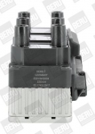 S&uuml;&uuml;tepool BorgWarner (BERU) ZSE004