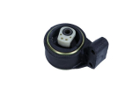 Paigutus,Mootor MAXGEAR 40-0434