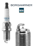 S&uuml;&uuml;tek&uuml;&uuml;nal BorgWarner (BERU) Z527