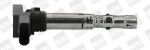 S&uuml;&uuml;tepool BorgWarner (BERU) ZSE059