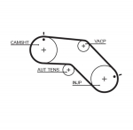 Hammasrihm GATES 5504XS