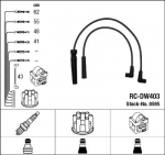 S&uuml;&uuml;tes&uuml;steemikomplekt NGK RC-DW403