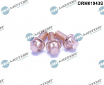 Kruvi,heitgaasis&uuml;steem Dr.Motor Automotive DRM01943S