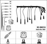 S&uuml;&uuml;tes&uuml;steemikomplekt NGK 0561