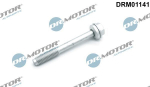 Kruvi, sissepritsed&uuml;&uuml;si kinnitus Dr.Motor Automotive DRM01141