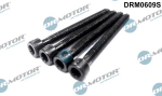 Kruvi, sissepritsed&uuml;&uuml;si kinnitus Dr.Motor Automotive DRM0609S