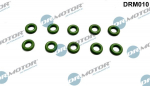 R&otilde;ngastihend,sissepritseklapp Dr.Motor Automotive DRM010
