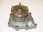 Veepump, mootori jahutus ASHIKA 35-0K-K19