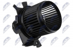 Salongipuhur NTY EWN-CT-007