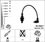 S&uuml;&uuml;tes&uuml;steemikomplekt NGK RC-PG617