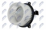 Salongipuhur NTY EWN-PL-003