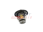 Termostaat,Jahutusvedelik FAST FT58033