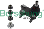 Kande-/juhtliigend Borsehung B18695