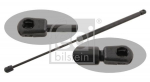 Gaasivedru, pagasi-/veoruum FEBI BILSTEIN 29291