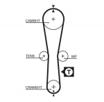 Hammasrihm GATES 5454XS