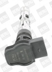 S&uuml;&uuml;tepool BorgWarner (BERU) ZSE062