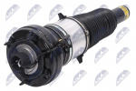 Amort NTY A-AU-049