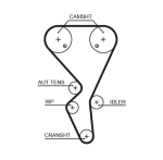 Hammasrihm GATES 5581XS
