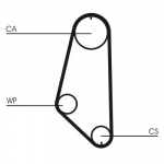 Veepump + hammasrihmakomplekt CONTINENTAL CTAM CT720WP1