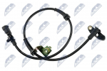 Andur, rattap&ouml;&ouml;rete arv NTY HCA-CH-022