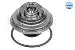 Termostaat,Jahutusvedelik MEYLE 028 287 0005