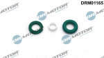Tihendikomplekt, Sissepritsed&uuml;&uuml;s Dr.Motor Automotive DRM01165
