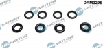 R&otilde;ngastihend,sissepritseklapp Dr.Motor Automotive DRM029S