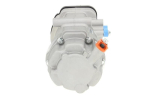 Kompressor,kliimaseade BV PSH 095.195.003.050