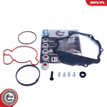 Remondikomplekt,vaakumpump(piduris&uuml;steem) ESEN SKV 18SKV809