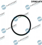 Tihend,sissepritsepump Dr.Motor Automotive DRM01479