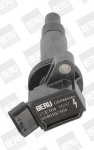 S&uuml;&uuml;tepool BorgWarner (BERU) ZSE164