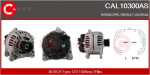 Generaator CASCO CAL10300AS