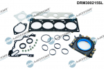 Tihendikomplekt,silindripea Dr.Motor Automotive DRM300215SL