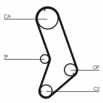 Hammasrihm CONTINENTAL CTAM CT647