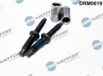Kruvi, sissepritsed&uuml;&uuml;si kinnitus Dr.Motor Automotive DRM0619