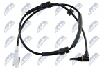 Andur, rattap&ouml;&ouml;rete arv NTY HCA-CT-018