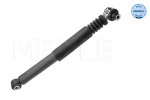 Amort MEYLE 16-26 725 0005