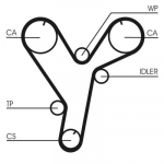 Hammasrihm CONTINENTAL CTAM CT1080