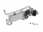 EGR-moodul BORGWARNER 710862D