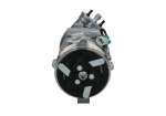 Kompressor,kliimaseade BV PSH 090.135.026.876