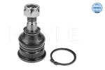 Kande-/juhtliigend MEYLE 36-16 010 0006