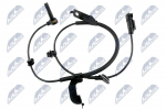 Andur, rattap&ouml;&ouml;rete arv NTY HCA-CH-041