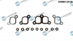Tihendikomplekt,Sisselaskekollektor Dr.Motor Automotive DRM01291S