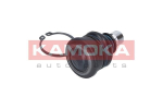 Kande-/juhtliigend KAMOKA 9040212